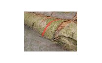 Značkovací sprej Soppec FLUO MARKER